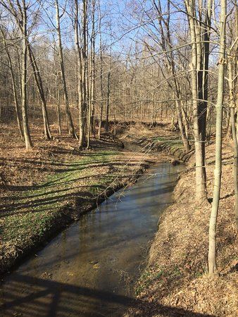 Lenape Park