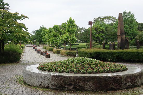 Chuo Park