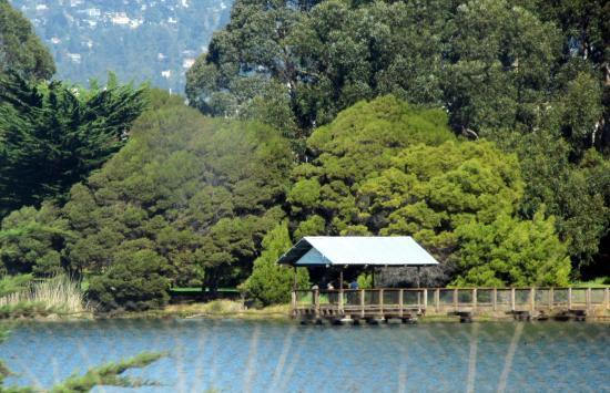 Aquatic Park