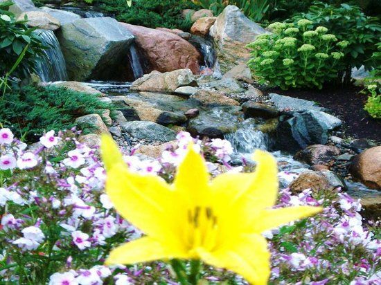 Irving Arboretum