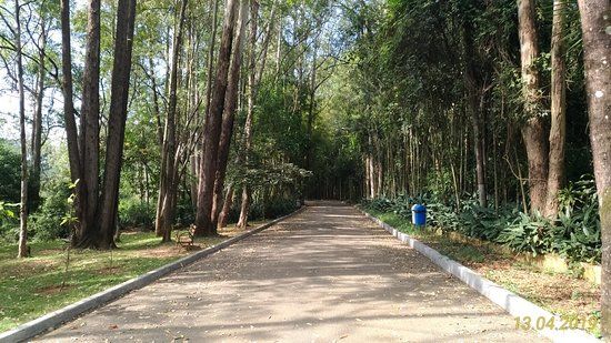 Parque Natural Municipal Chico Mendes