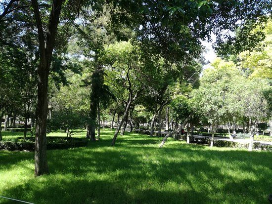 Alameda Hidalgo
