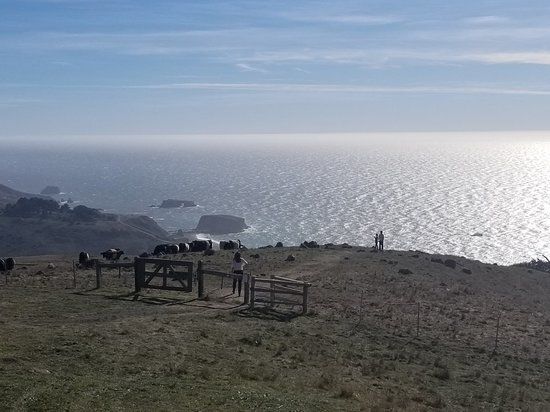 Jenner Headlands