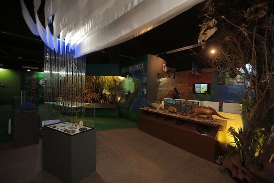 Itaipu Natureza