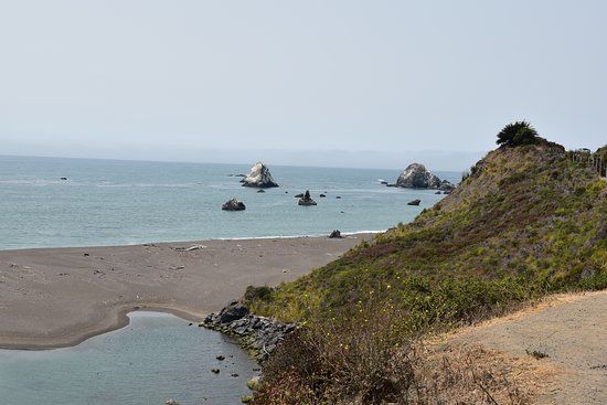 Harbor Seal Nursery