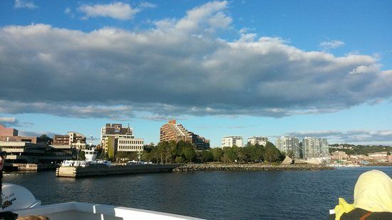 Alderney Landing