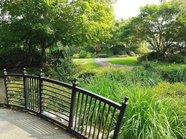 Hawthorne Park