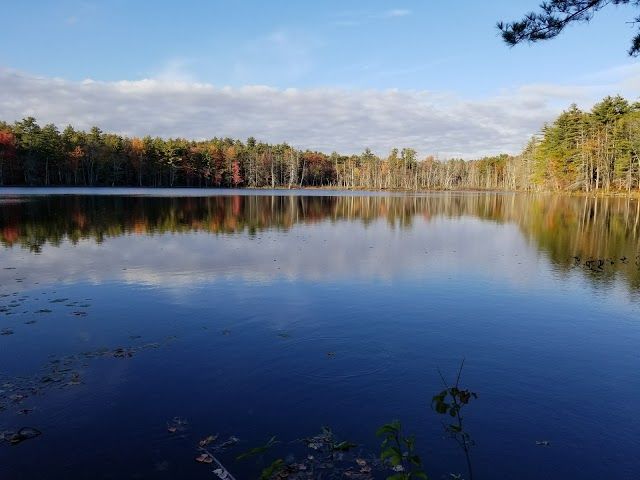 Donnabeth Lippman Park