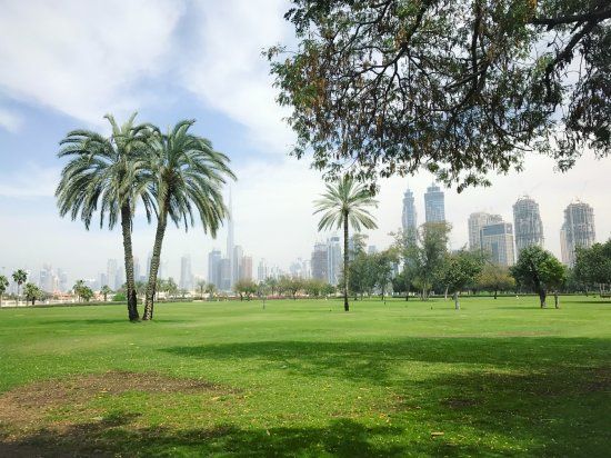 Parque Safa