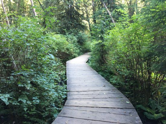 Lynn Canyon Park
