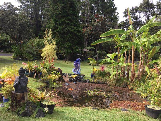 Volcano Garden Arts
