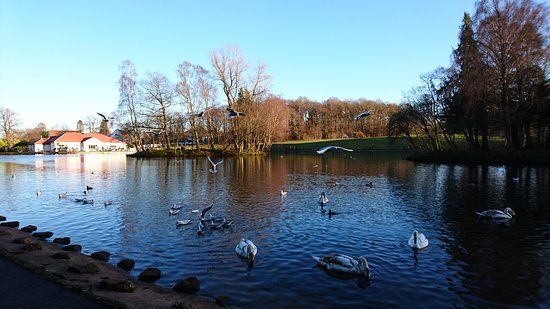 Rouken Glen Park