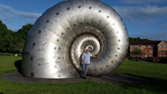Mollusc