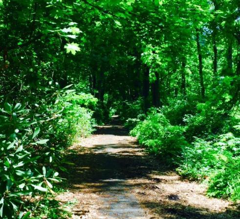 Muttontown Preserve