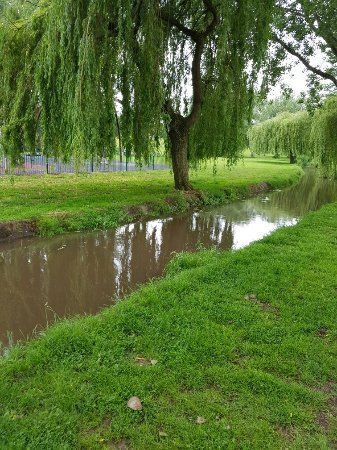 Sanders Park