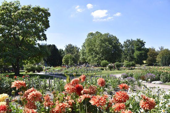 Parco Killesberg