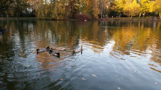 Volkspark