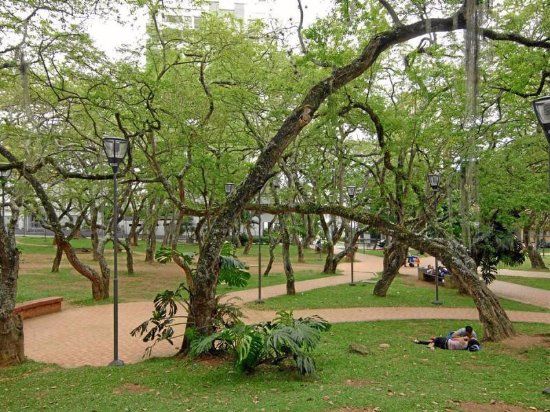 Parque San Pio