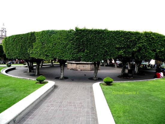 Jardín Principal