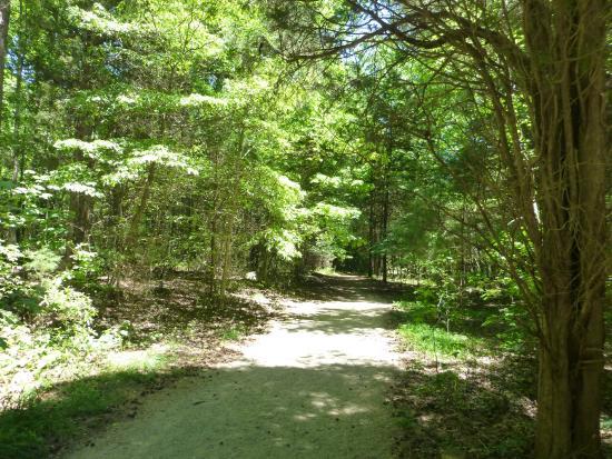 Reedy Creek Nature Center and Preserve