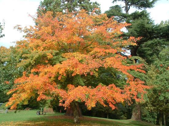Stroud Park