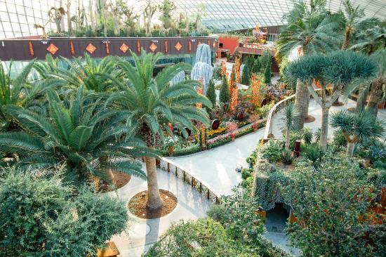 Gardens by the Bay