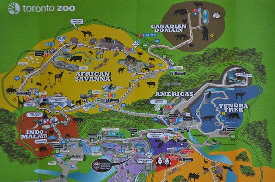 Toronto Zoo
