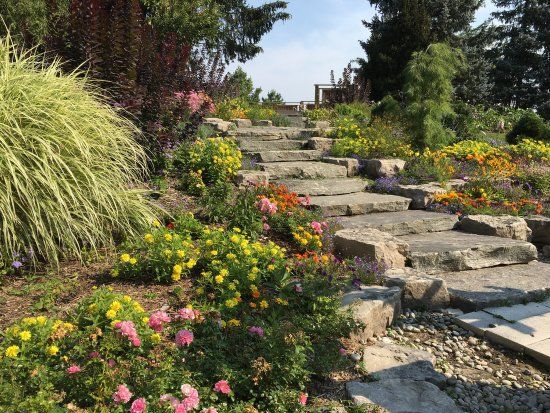 Humber Arboretum