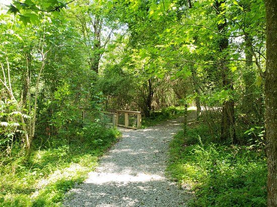 BREC's Bluebonnet Swamp Nature Center