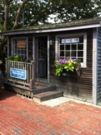 Nantucket Aquarium