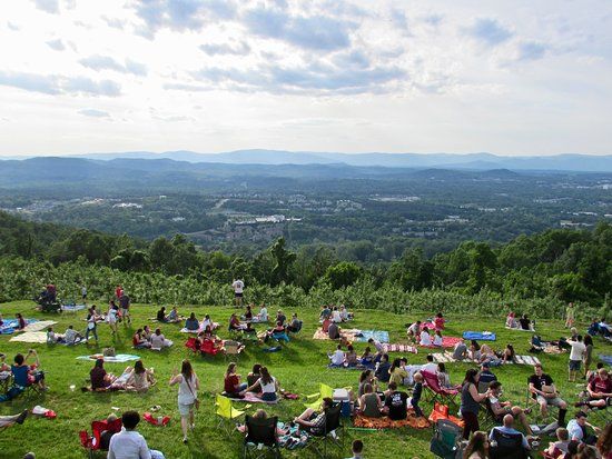 Carter Mountain Orchard