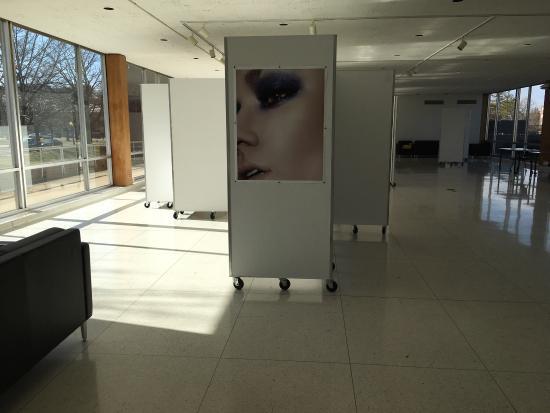 Krannert Art Museum