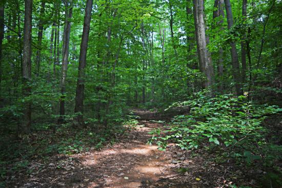 Iron Hill Park