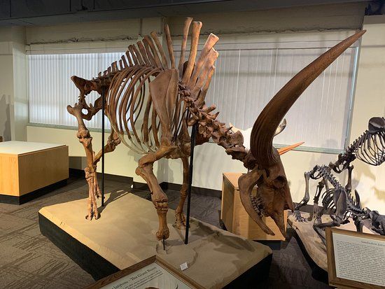 Idaho Museum of Natural History