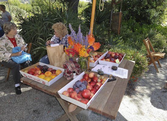 Andy's Orchard