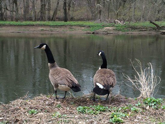 Brandywine Creek State Park