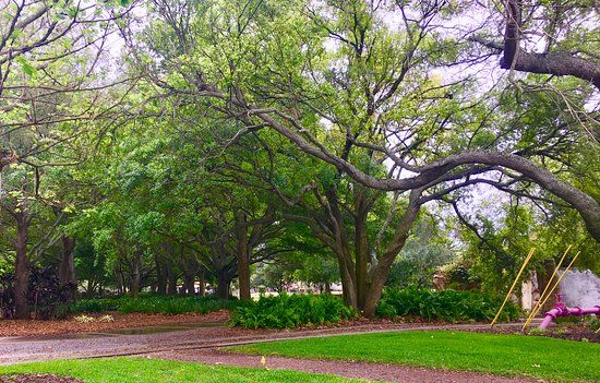 Largo Central Park