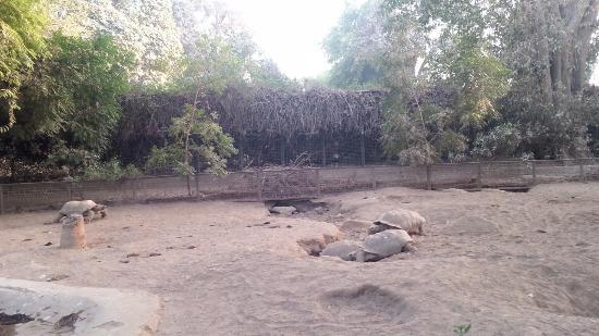Karachi Zoo