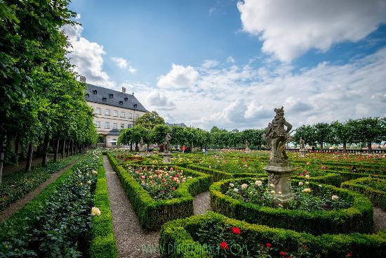 Rosengarten der Neuen Residenz