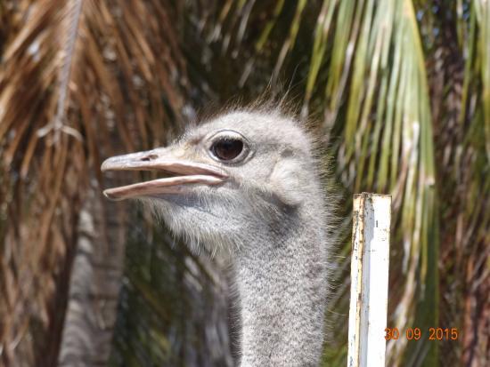 Parke Tropikal Curacao Zoo & Nature Reserve