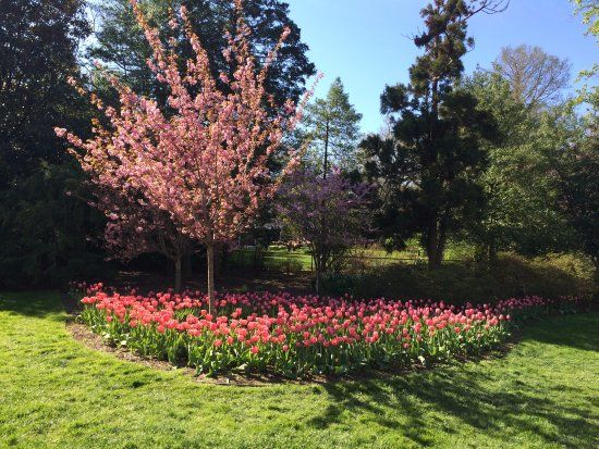 Sherwood Gardens