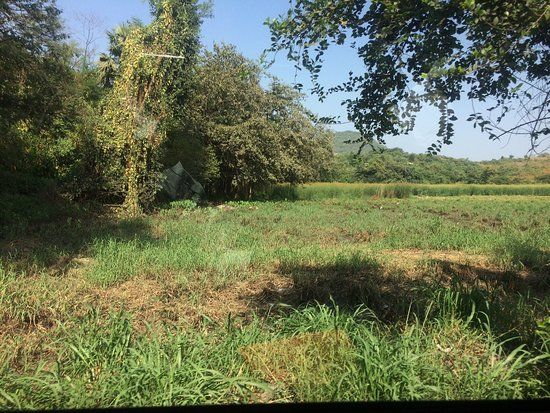Aarey Colony