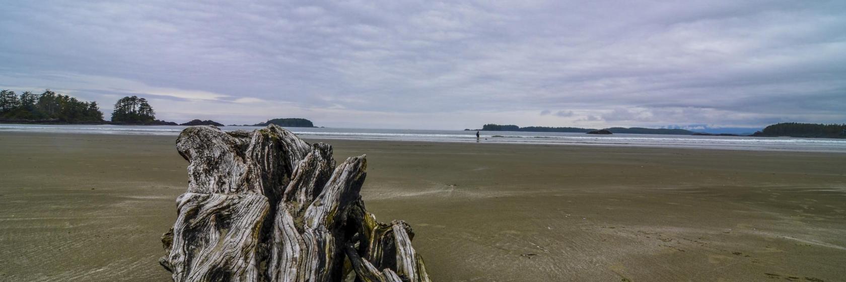 Chesterman Beach