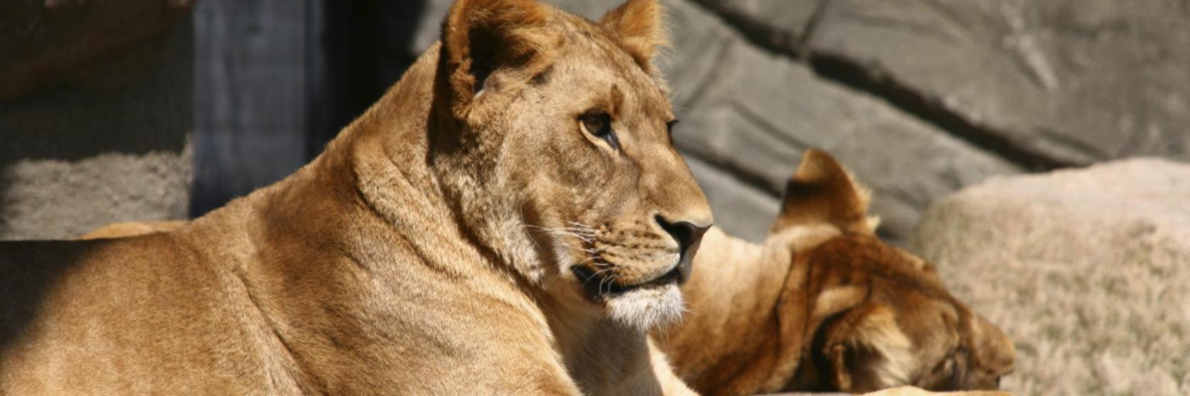 Tierpark Hagenbeck