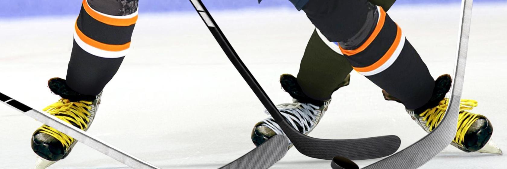 Elvis Stojko Arena
