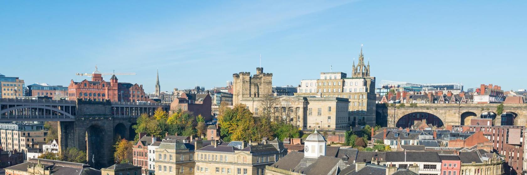 Newcastle Castle