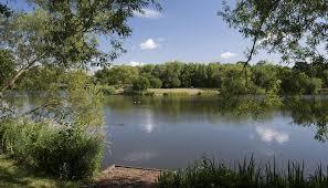 Goldsworth Park