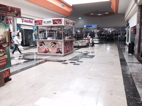 Plaza Jacarandas