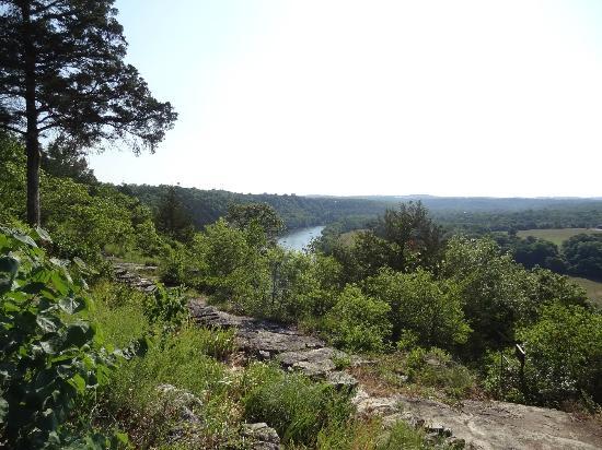 Lakeside Forest Wilderness Area