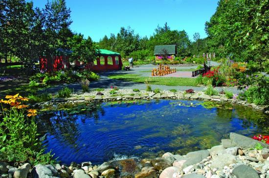 Doris Gardens